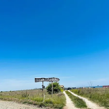 Rezident Lägenhet *